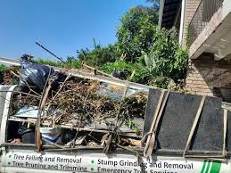 Best Foreclosure Cleanout  in Cresco, IA