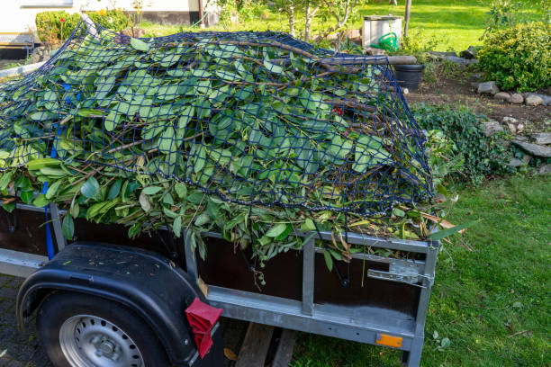 Best Residential Junk Removal  in Cresco, IA